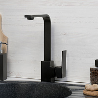 Wasserkraft Abens Смеситель для кухни однорычажный, цвет: черный матовый 2007