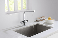 Timo Saona Смеситель для кухни однорычажный, цвет хром 2396/00F