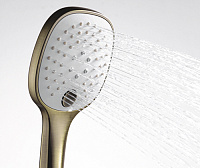 Wasserkraft Душевая лейка 11,6х4,7хh25,3 см, цвет: бронза A050