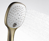 Wasserkraft Душевая лейка 11,6х4,7хh25,3 см, цвет: бронза A050