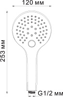 Wasserkraft Душевая лейка 12х3,1хh25,3 см, цвет: хром A061