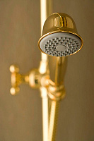 Bossini Retro Душевая стойка: смеситель, ручной и верхний душ, 1 вид струи, шланг, цвет: gold L01526.021