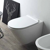 Simas Gambassi Унитаз подвесной безободковый 37,5х56,5 см, без крышки-сиденья, цвет: белый глянцевый GA18bi