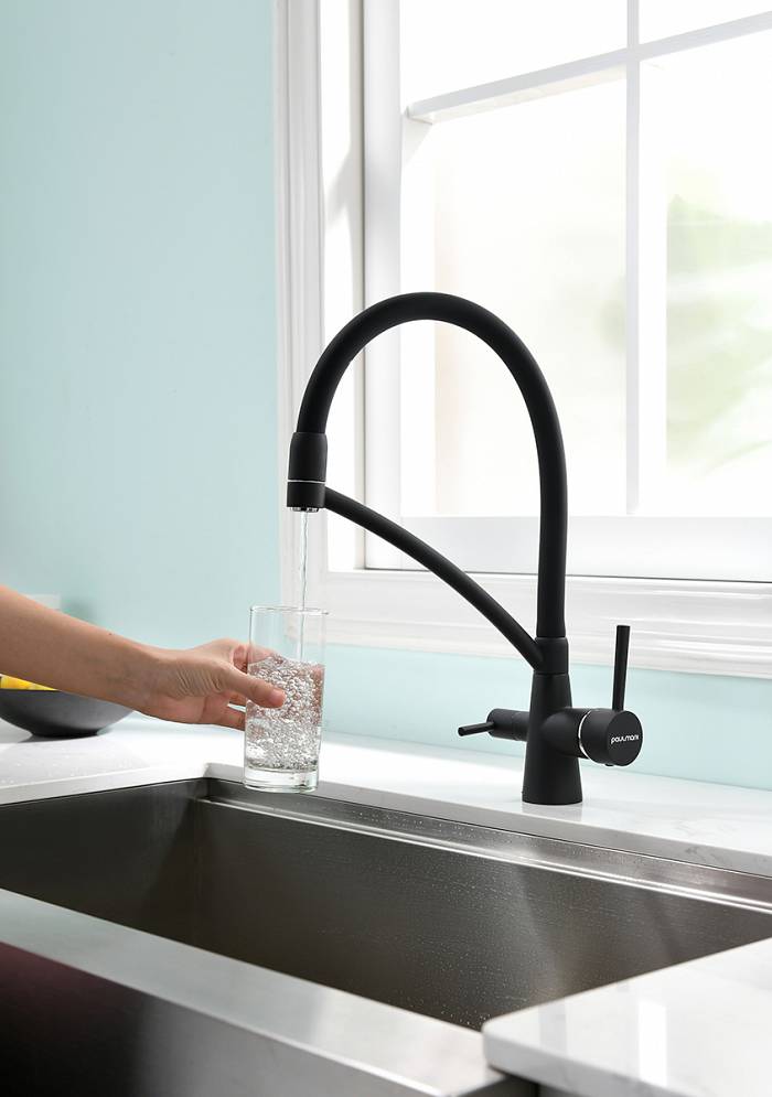 Paulmark Siеgen Смеситель для кухни с гибким изливом, цвет: антрацит Si213111-401TB