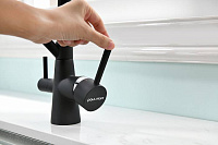 Paulmark Siеgen Смеситель для кухни с гибким изливом, цвет: антрацит Si213111-401TB