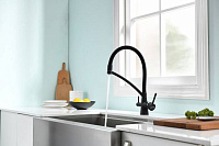 Paulmark Siеgen Смеситель для кухни с гибким изливом, цвет: антрацит Si213111-401TB