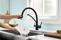 Paulmark Siеgen Смеситель для кухни с гибким изливом, цвет: антрацит Si213111-401TB