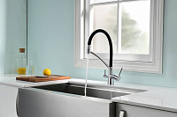 Paulmark Siеgen Смеситель для кухни с гибким изливом, цвет: хром Si213111-CR