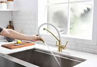 Paulmark Siеgen Смеситель для кухни с гибким изливом, цвет: бронза-белый Si213111-BrW