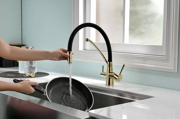 Paulmark Siеgen Смеситель для кухни с гибким изливом, цвет: золото Si213111-G