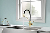 Paulmark Siеgen Смеситель для кухни с гибким изливом, цвет: золото Si213111-G