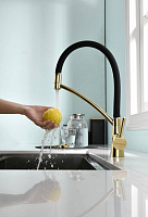 Paulmark Siеgen Смеситель для кухни с гибким изливом, цвет: золото Si213111-G