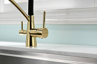 Paulmark Siеgen Смеситель для кухни с гибким изливом, цвет: золото Si213111-G