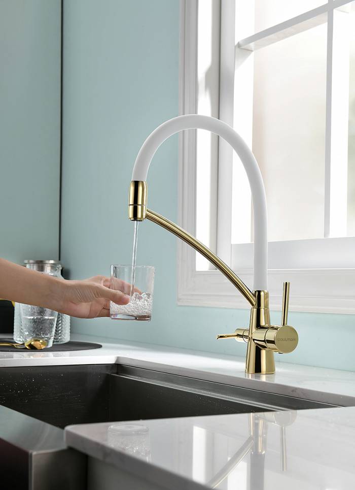 Paulmark Siеgen Смеситель для кухни с гибким изливом, цвет: золото-белый Si213111-GW