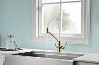 Paulmark Siеgen Смеситель для кухни с гибким изливом, цвет: золото-белый Si213111-GW
