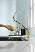 Paulmark Siеgen Смеситель для кухни с гибким изливом, цвет: золото-белый Si213111-GW