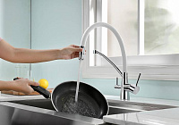 Paulmark Siеgen Смеситель для кухни с гибким изливом, цвет: хром-белый Si213111-CrW