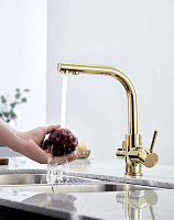 Paulmark Essen Смеситель для кухни с гибким изливом, цвет: золото Es213011-G