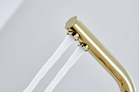 Paulmark Essen Смеситель для кухни с гибким изливом, цвет: золото Es213011-G