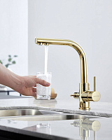 Paulmark Essen Смеситель для кухни с гибким изливом, цвет: золото Es213011-G