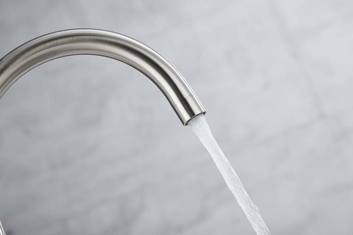 Paulmark Essen Смеситель для кухни с гибким изливом, цвет: никель Es213211-NI