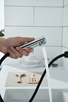 Paulmark Kassel Смеситель для кухни с выдвижным изливом, цвет: антрацит Ka214311-401