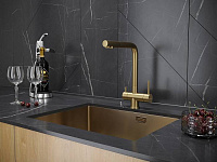 Paulmark Skalen Смеситель для кухни высота излива 29,8 см, цвет: брашированное золото Sk213020-BG