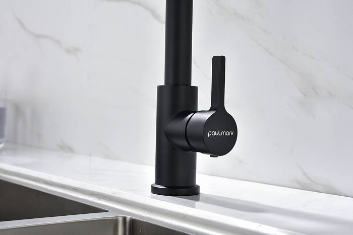 Paulmark Halt Смеситель для кухни высота излива 17 см, цвет: антрацит Ha214021-401