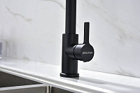 Paulmark Halt Смеситель для кухни высота излива 17 см, цвет: антрацит Ha214021-401