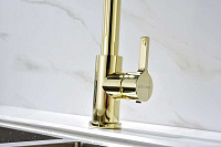 Paulmark Halt Смеситель для кухни высота излива 17 см, цвет: золото Ha214021-G