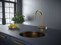 Paulmark Heller Смеситель для кухни высота излива 22,7 см, цвет: брашированное золото He213218-BG