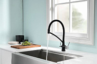 Paulmark Siеgen Смеситель для кухни с гибким изливом, цвет: черный Si213111-308