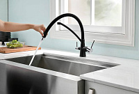 Paulmark Siеgen Смеситель для кухни с гибким изливом, цвет: черный Si213111-308