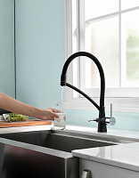 Paulmark Siеgen Смеситель для кухни с гибким изливом, цвет: черный Si213111-308