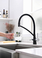 Paulmark Siеgen Смеситель для кухни с гибким изливом, цвет: антрацит Si213111-401