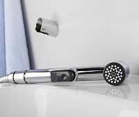 Смеситель Wasserkraft Aller  для раковины с гигиеническим душем 1068