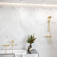 Hansgrohe AddStoris Мыльница подвесная со стеклянной чашей, латунь цвет: золото 41746990