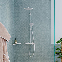Hansgrohe AddStoris Угловая корзинка подвесная 30,5x15,7 см, цвет: белый 41741700