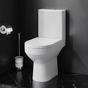 Am.Pm Spirit V2.0 Унитаз-компакт 36,5х63 см, безободковый с крышкой микролифт, цвет: белый глянцевый C708600WH