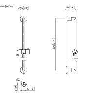 Dornbracht Tara Душевая штанга со шлангом, без душевой лейки, цвет: платина 26413892-08