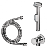 Am.Pm Лейка гигиеническая из латуни, держатель, шланг 120 см, цвет: хром глянцевый F0202100