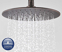 Wasserkraft Душевая стойка: смеситель, ручной душ 1 вид струи, шланг, верхний душ, цвет: бронза A041