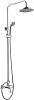 Wasserkraft Душевая стойка: смеситель, ручной душ 1 вид струи, шланг, верхний душ, цвет: хром A12202