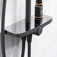 Am.Pm Like Душевая стойка: верхний и ручной душ, шланг, без смесителя, цвет: черный матовый F0780222