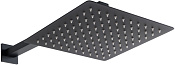 Allen Brau Infinity Верхний душ квадратный 25 см, с кронштейном 37,9 см, цвет: черный матовый 5.21019-31