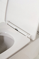 Крышка-сиденье BelBagno  с микролифтом, петли хром BB2031SC