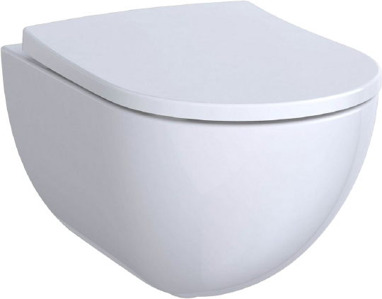 Geberit Acanto Унитаз подвесной, безободковый размер 51х34 см, цвет: белый 500.600.01.2