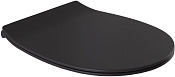 Allen Brau Fantasy Крышка-сиденье для унитаза 36x42,5x4h см, с микролифтом, цвет: антрацит 4.11005.AN