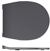 Allen Brau Reality Крышка-сиденье для унитаза 36,5x44,1x4h см, с микролифтом, цвет: антрацит 4.32007.AN