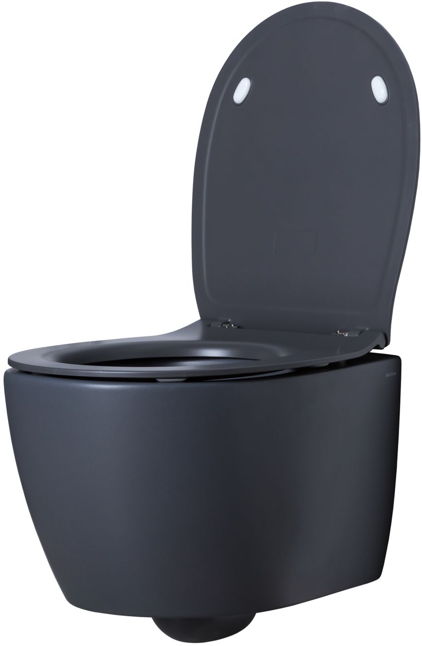 Allen Brau Fantasy Чаша подвесного унитаза 36,3x51 см каскадный смыв, цвет: антрацит 4.11004.AN